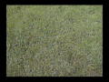Faith West Academy, TX - Pre-Season Work Out #3