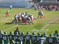 kelly vs uban prep