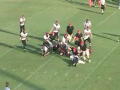 Kris Stein - DuPont Manual, KY 2009 Football