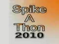Central, CA - Spike A Thon