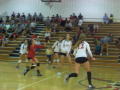 Venice, FL vs Port Charlotte, FL
