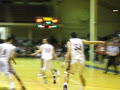 Battle of the Birds 2011