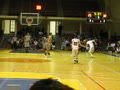 Battle of the Birds 2011