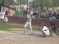 Patrick Rahill (Loyola, IL)