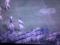 Anthony Mason TD