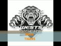 IMSA TIGERS 2012 MIXTAPE COMING SOON