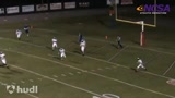 NCSA Video