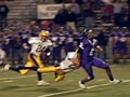 Pioneer, MI vs Saline, MI